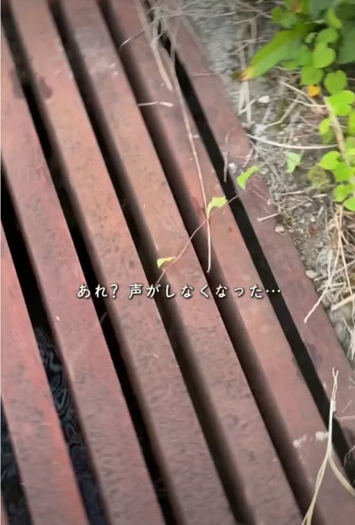 木の板