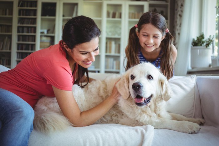 ソファーの上で犬を撫でる女性