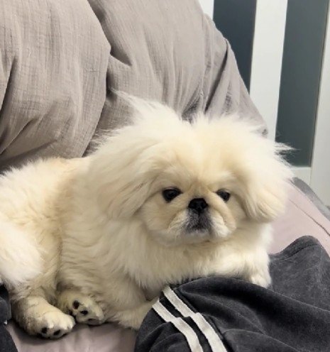 寝癖でパヤパヤに…♡