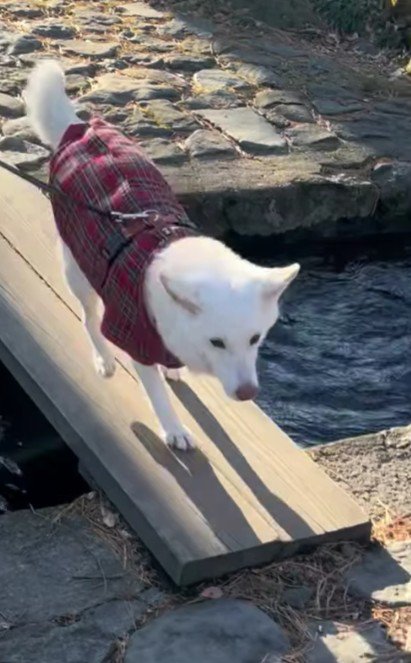 とっても楽しそう♪