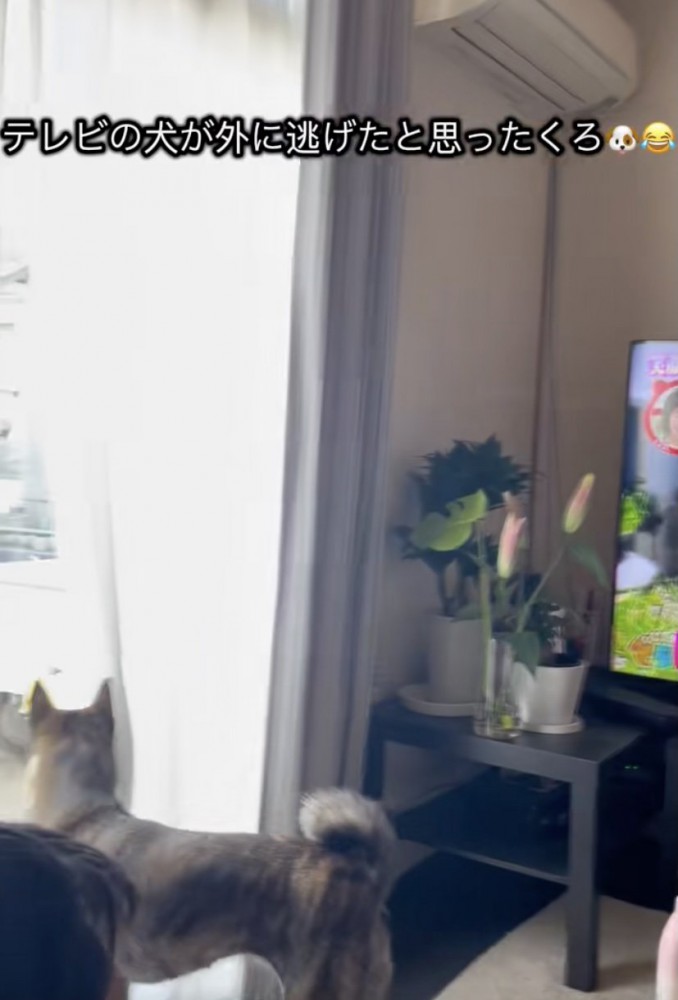 「どこに行ったの？」