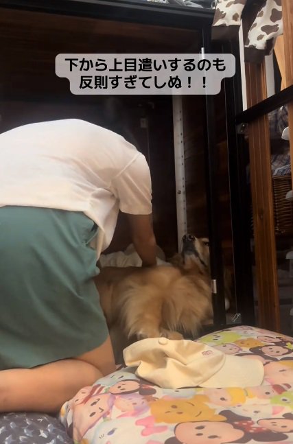 上目遣いのならちゃん