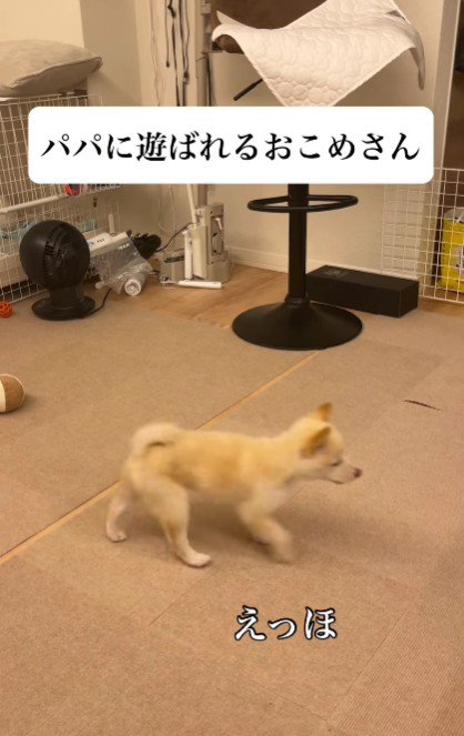 遊ばれてる…！？
