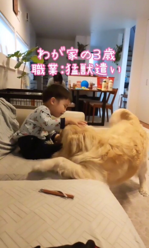 大型犬を撫でる男の子