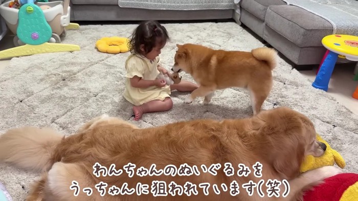 おもちゃで遊んでたら…