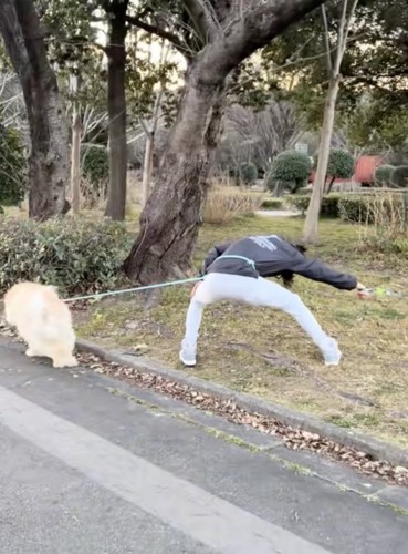 真逆に引っ張られてる！