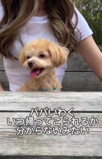 いつ帰ってくるかわからない…