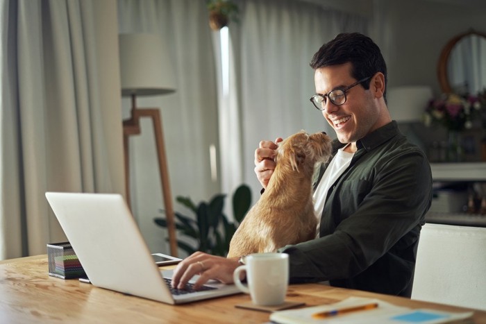 仕事の合間に愛犬と交流する男性