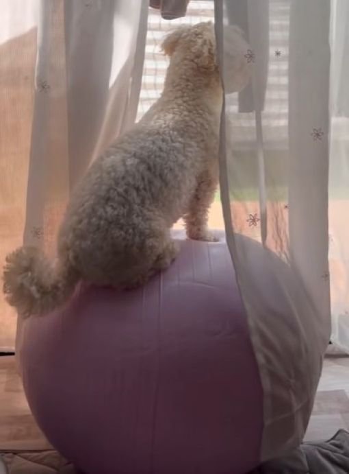 余裕を感じる後ろ姿