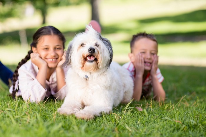 子供と一緒に芝生に寝転ぶ犬