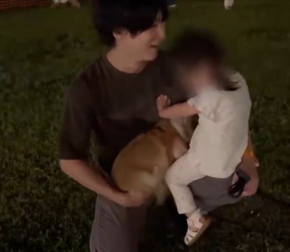 犬見知り