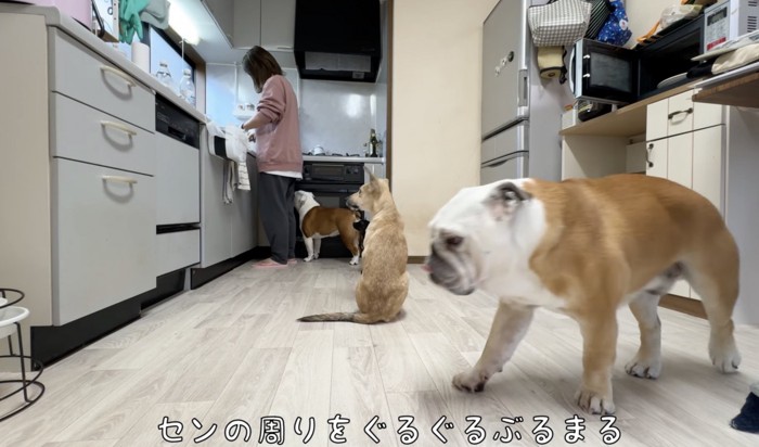 朝ごはんの予感