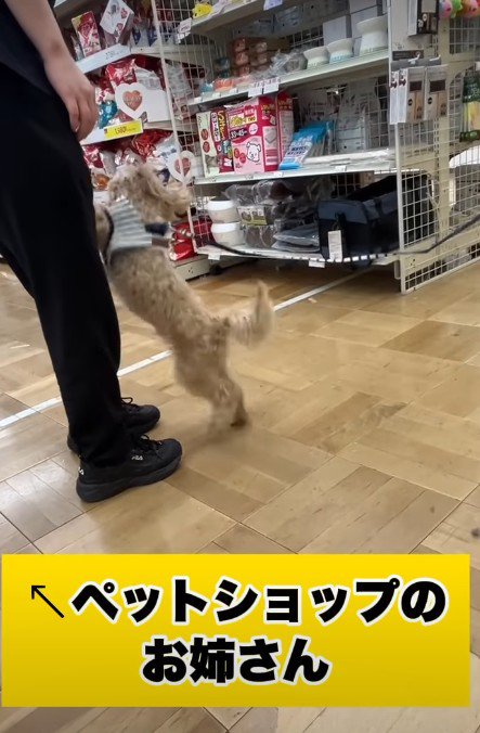 「やっと卒業できるよ!」