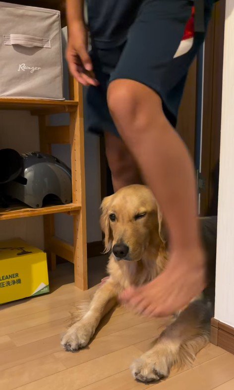 長男くんはまたいで玄関へ