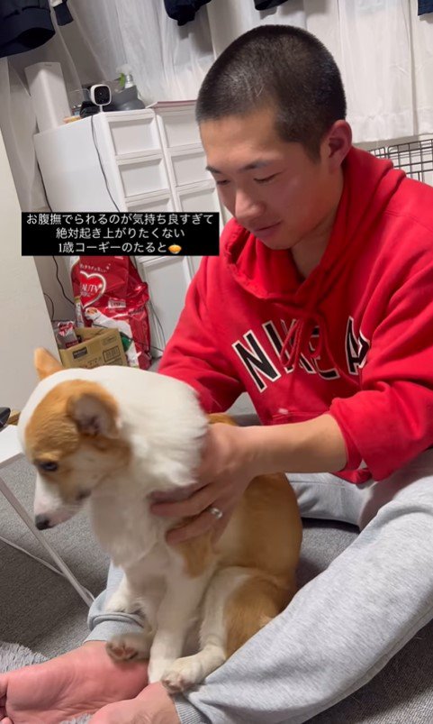 撫でられたいたるとちゃんVSパパさん6