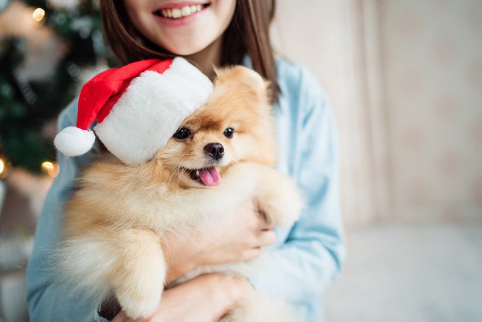 帽子をかぶった犬を抱っこする人