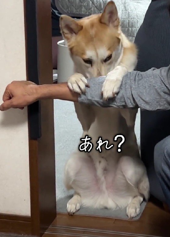 チラリ