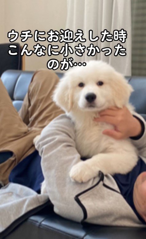 ハクくんの成長5