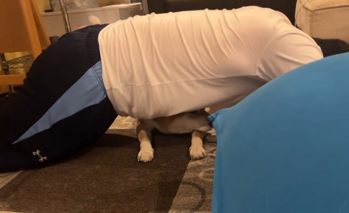 筋トレ中のお兄ちゃんとこじろー君3