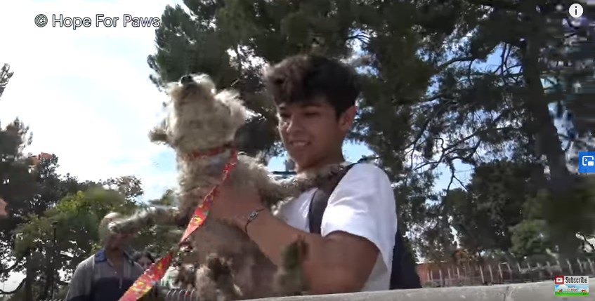 うれしそうに犬を抱く少年