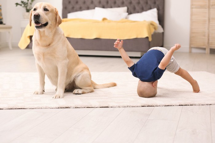 犬と謎のポーズをする男の子