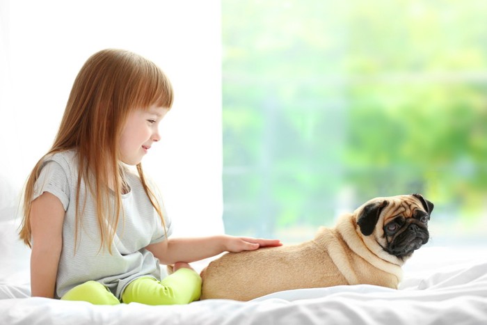 犬を撫でる子ども