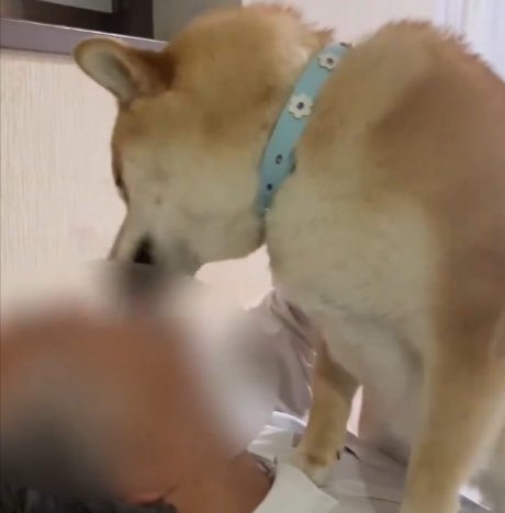 熱烈歓迎