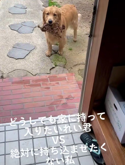 「どうしてもダメ…?」