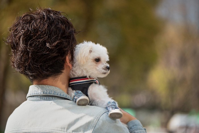 男性と犬