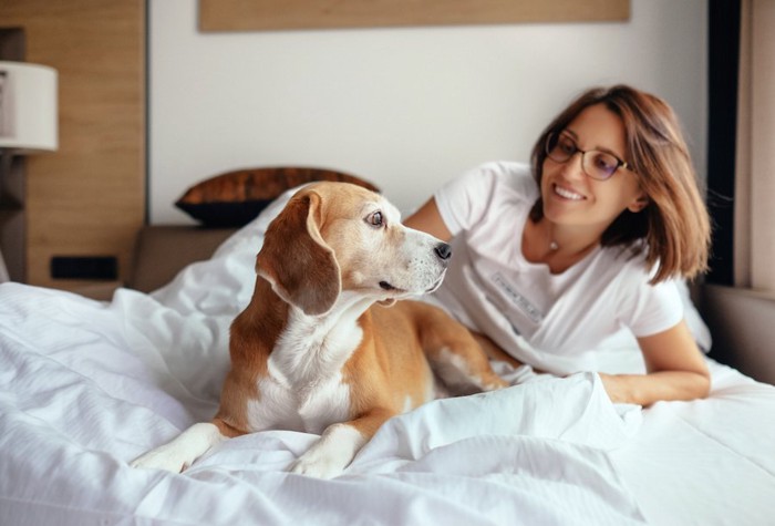 ベッドの上の女性とビーグル犬