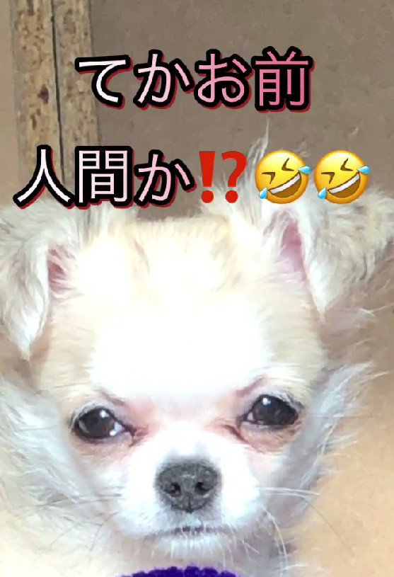 困ってたら守ってくれそう！？