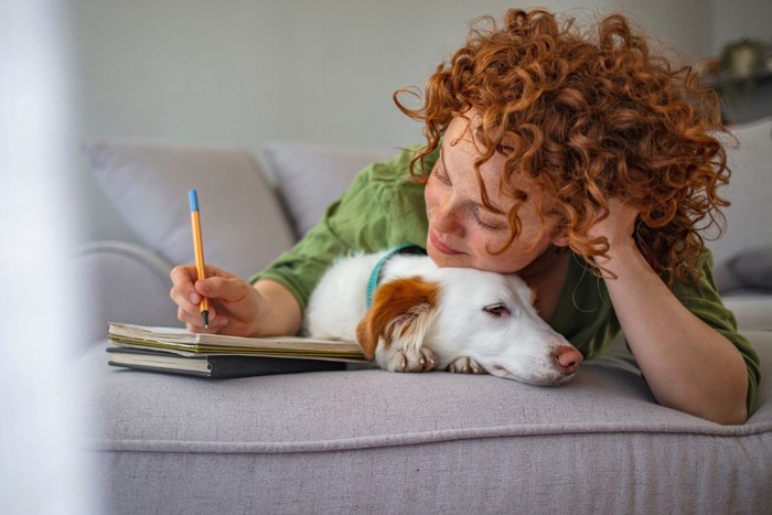 勉強する女性と犬