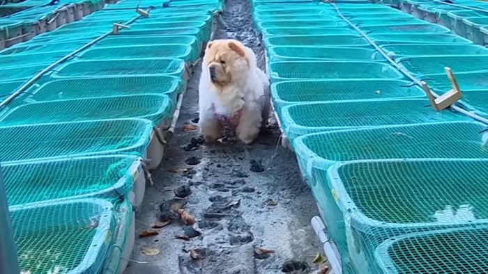 「いったん戻って！」