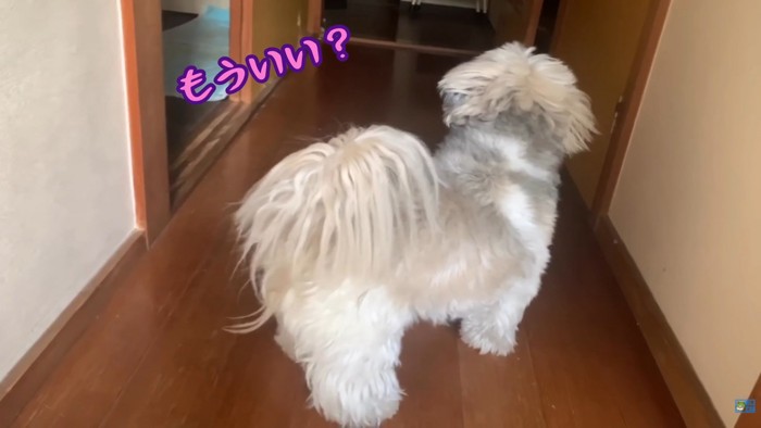 てんぽさんの熱烈歓迎7