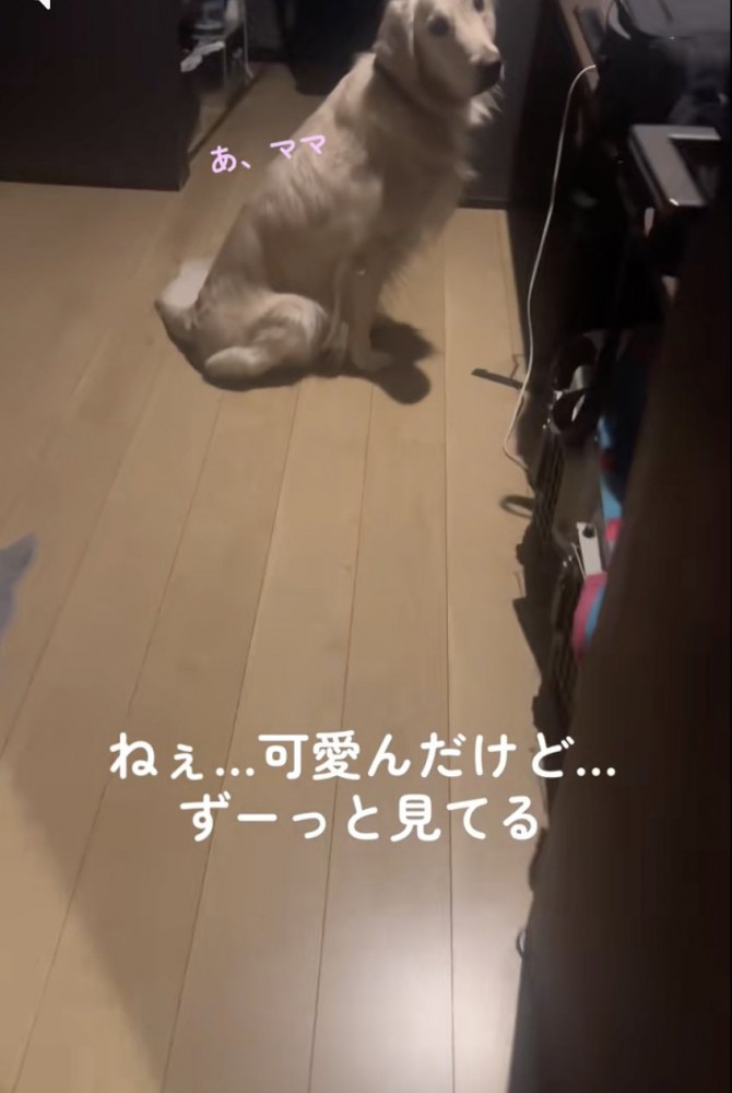 「気になる…」