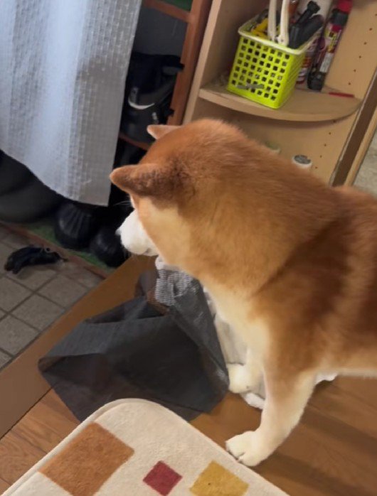 哀愁漂う後ろ姿