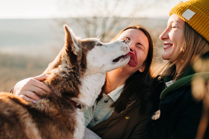 女性の顔を舐める犬