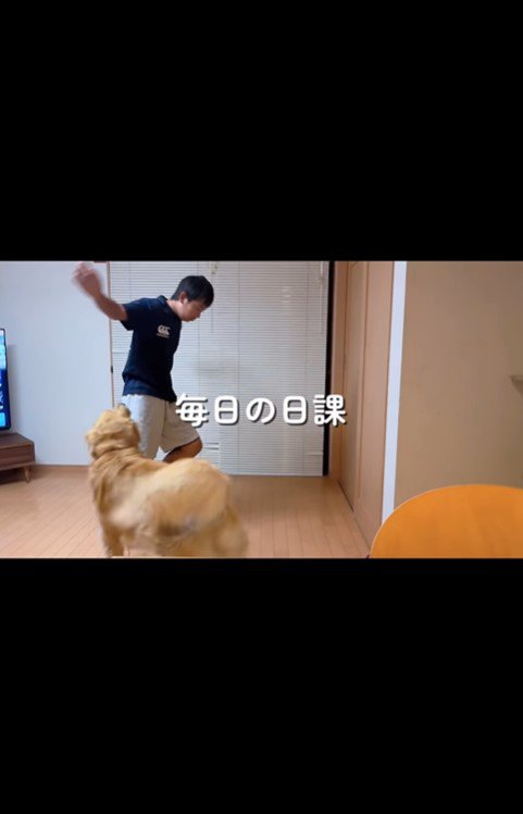 かんとく君とのトレーニング