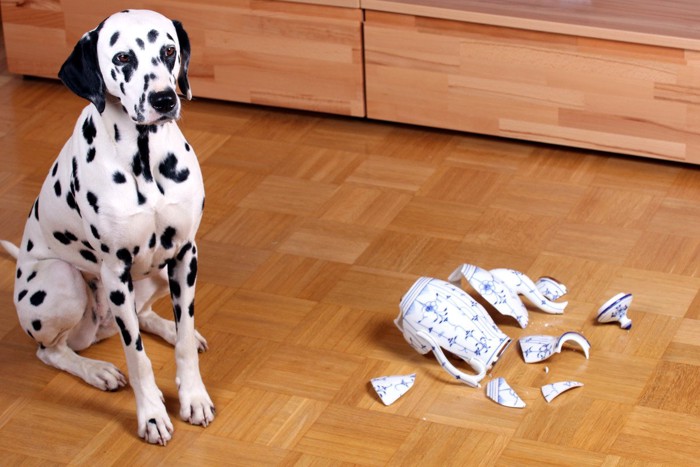 割れたティーポット