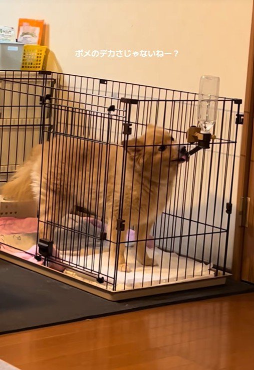 唯一無二の可愛さ♡