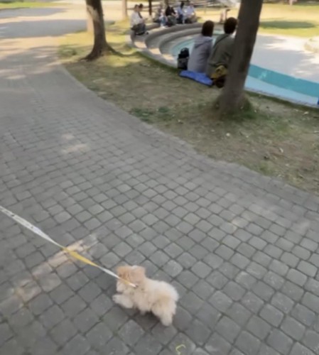 人が多い公園と犬