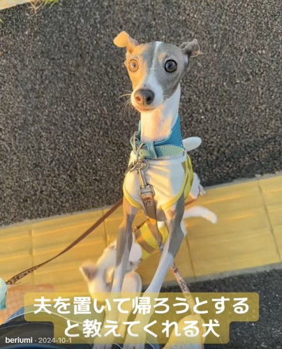 ママに訴えるうみちゃん%ママが帰ろうとすると…