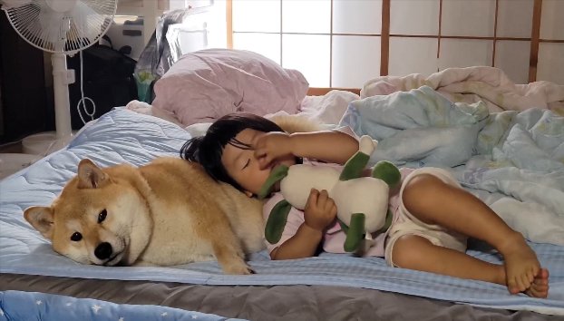優しい