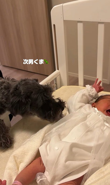 くま君も興味津々！