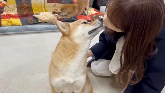 女性に口先を近づける雄の柴犬