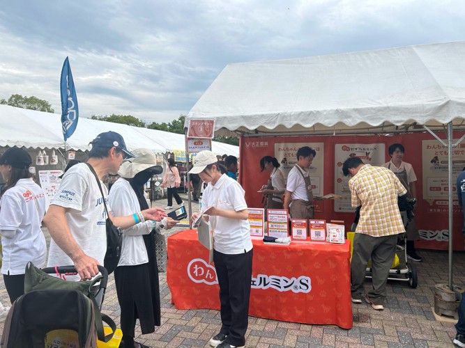 前回の出展ブース