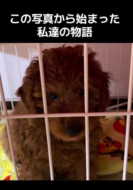 この写真からすべてが始まった…