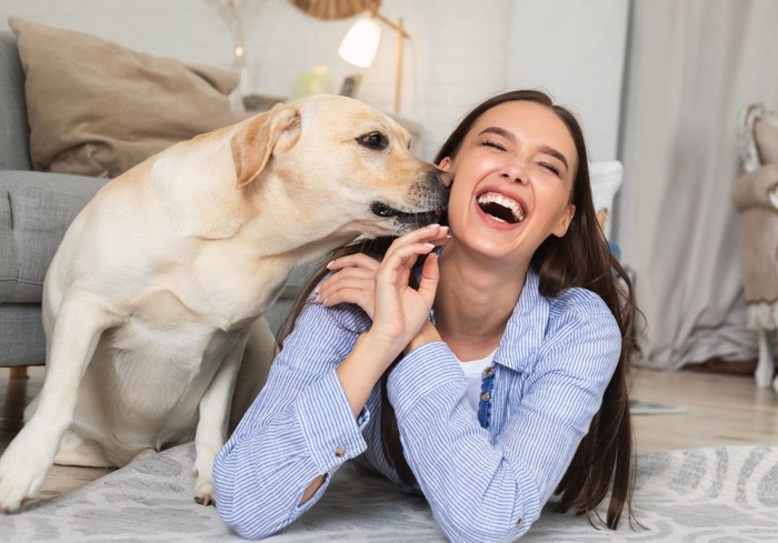 口周りの匂いを嗅ぐ犬