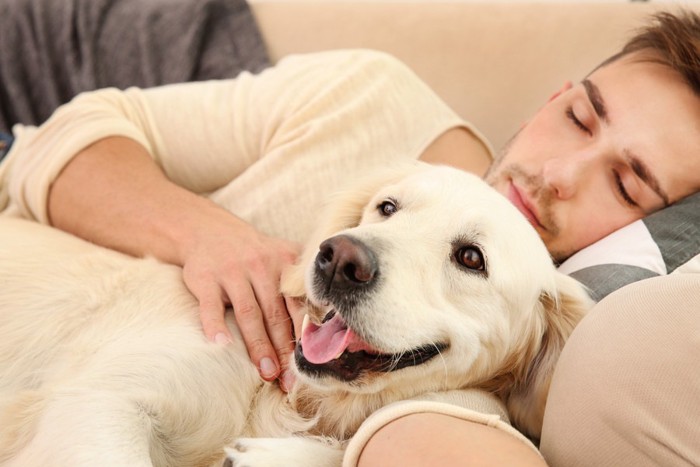 眠る飼い主と寄り添う犬