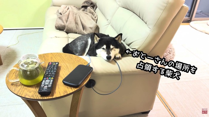 大河くんがお父さんの席を占領